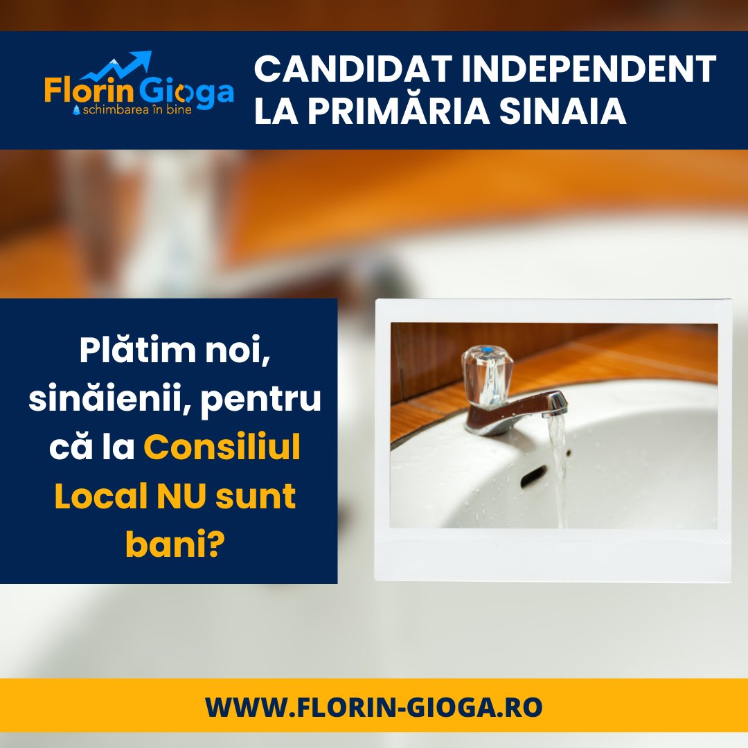 Consiliul Local