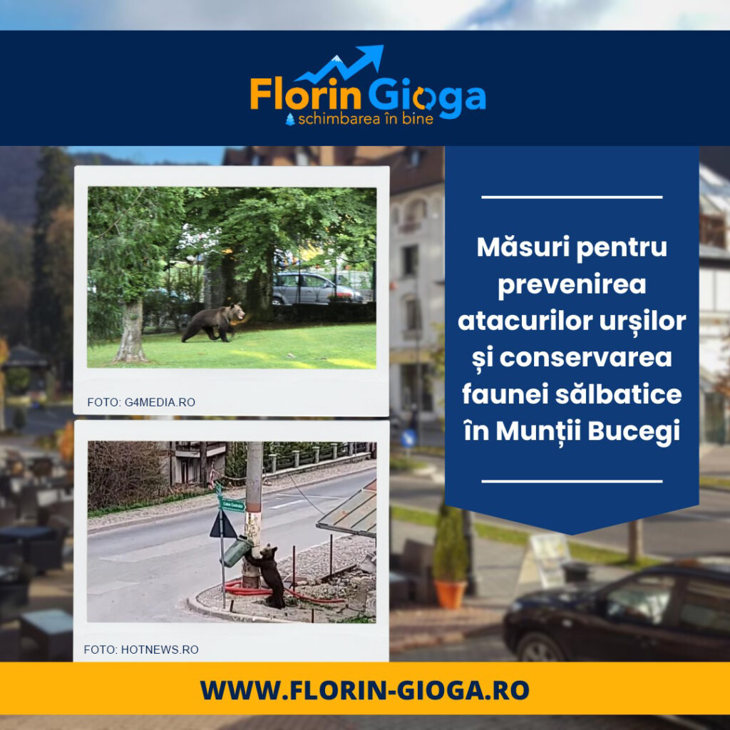 Munţii Bucegi